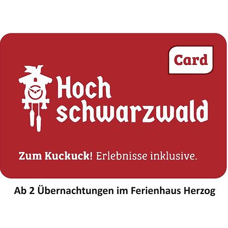 Ferienhaus Haus Herzog 蒂蒂湖-新城 外观 照片