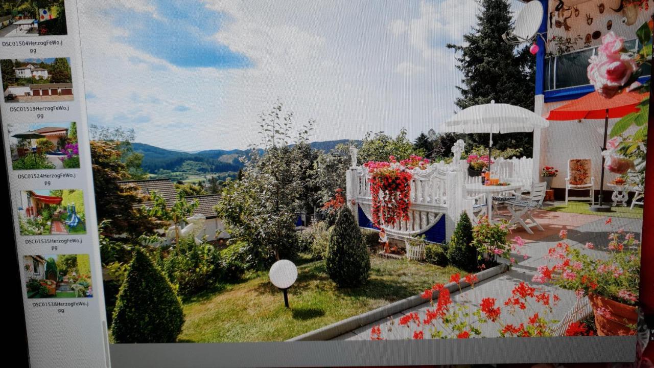 Ferienhaus Haus Herzog 蒂蒂湖-新城 外观 照片